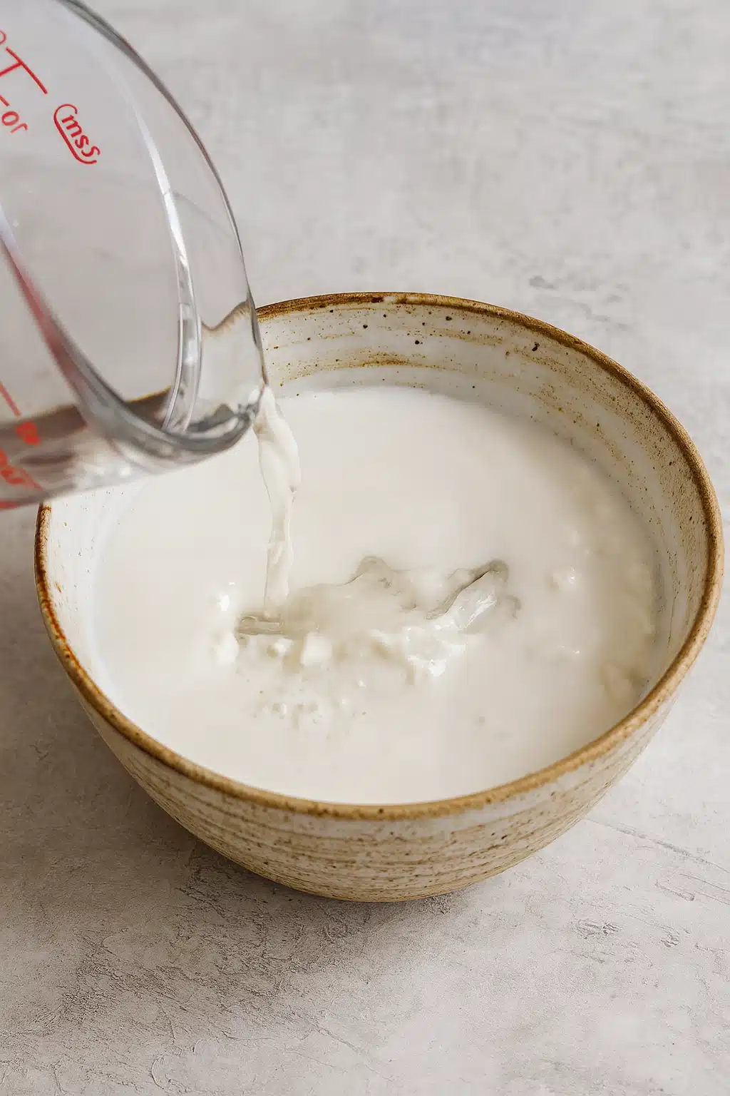 coconut-sorbet-in-shell-mixing Pouring coconut milk for sorbet base – coconut sorbet in shell