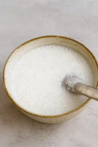 Blended coconut sorbet base in a mixing bowl – coconut sorbet in shell