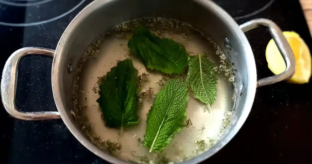 lemon-balm-recipe-for-weight-loss-tea-preparation lemon balm recipe for weight loss tea preparation in pot with fresh leaves