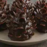Viral Pine Cone Brownies holiday dessert with chocolate coating